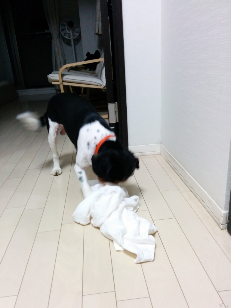 服を着せてみた.2014-07-17.21-46-17