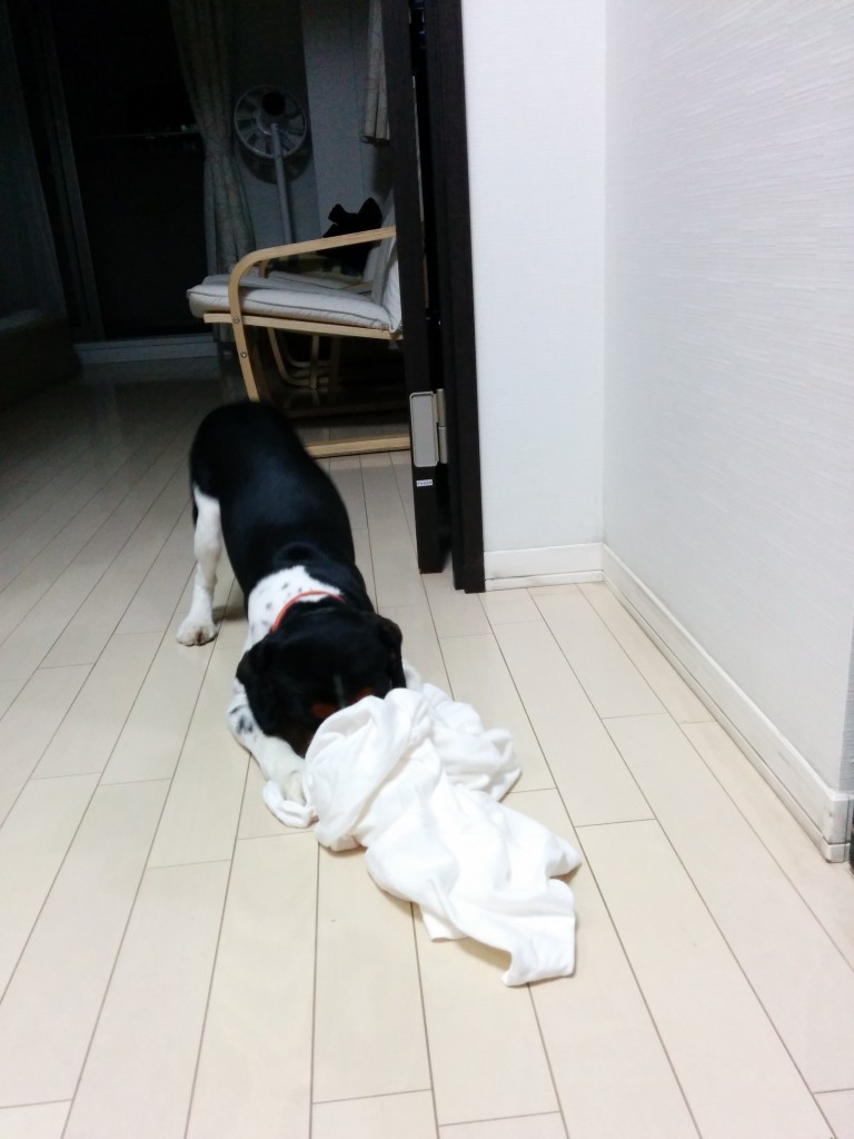 服を着せてみた.2014-07-17.21-46-18