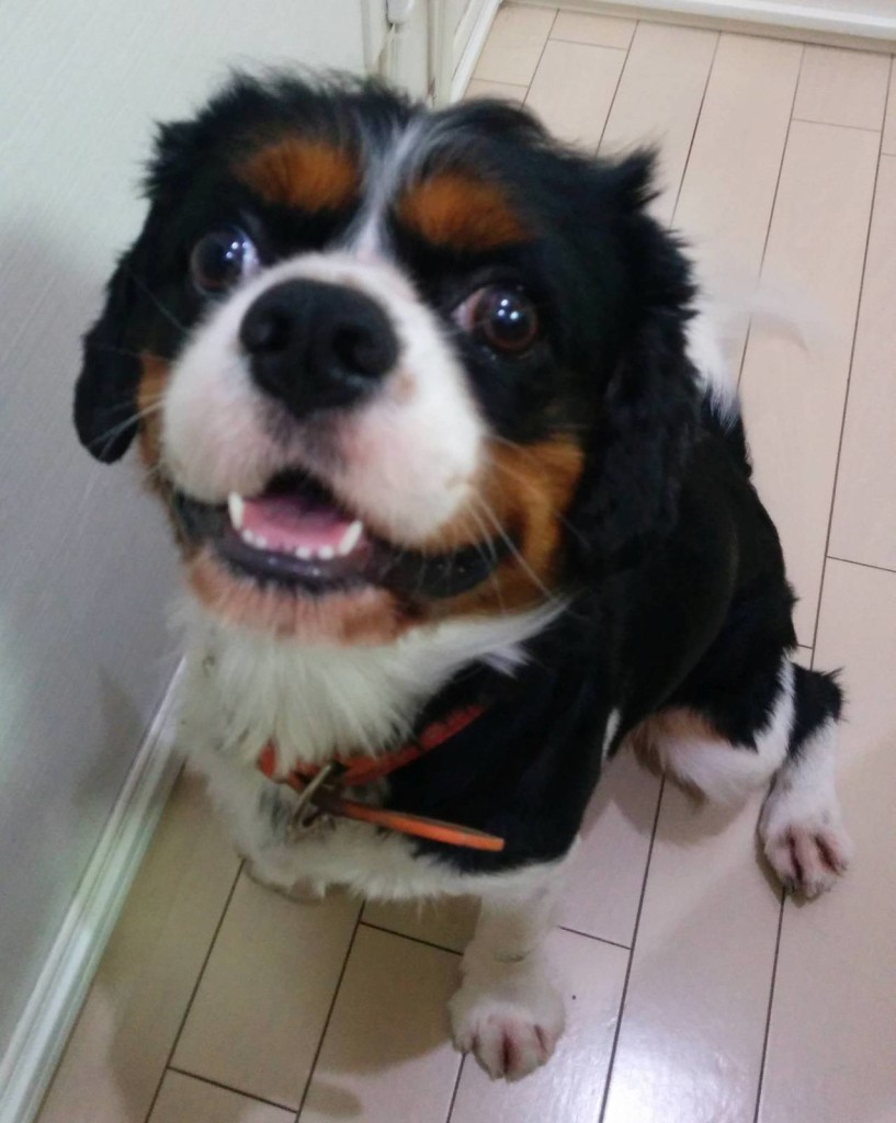 2015-09-23.21-31-57_002