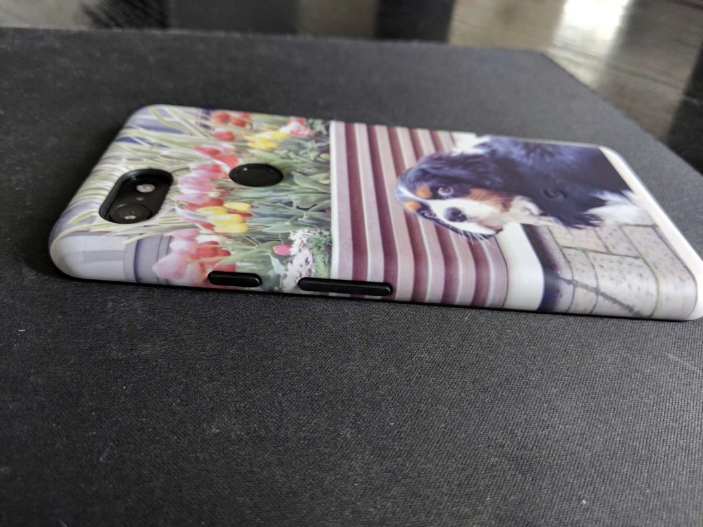犬, Dog, トライカラー, Tricolor, キャバリア, Cavalier King Charles Spaniel, ジロ, Jiro, Pixel 3 XL